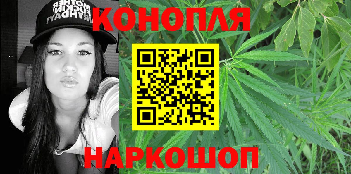 Конопля ГИДРОПОН Волхов